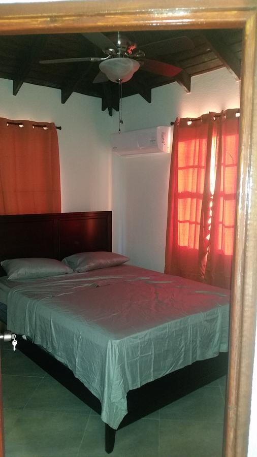 Frontline Apartments Christ Church Dış mekan fotoğraf