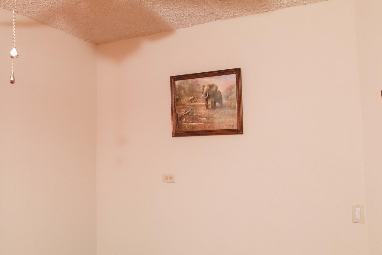 Frontline Apartments Christ Church Dış mekan fotoğraf
